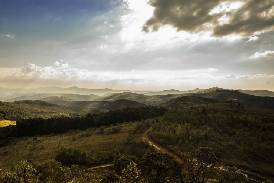 Sunshine in the Hills